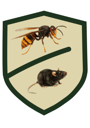 Lutte contre Frelons et rats à Sarlat, services de lutte contre nuisibles à Sarlat.