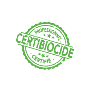 Traitement certifié contre les nuisibles dans le Sarladais, professionnel de la désinsectisation, Professionnel certifié Certibiocide